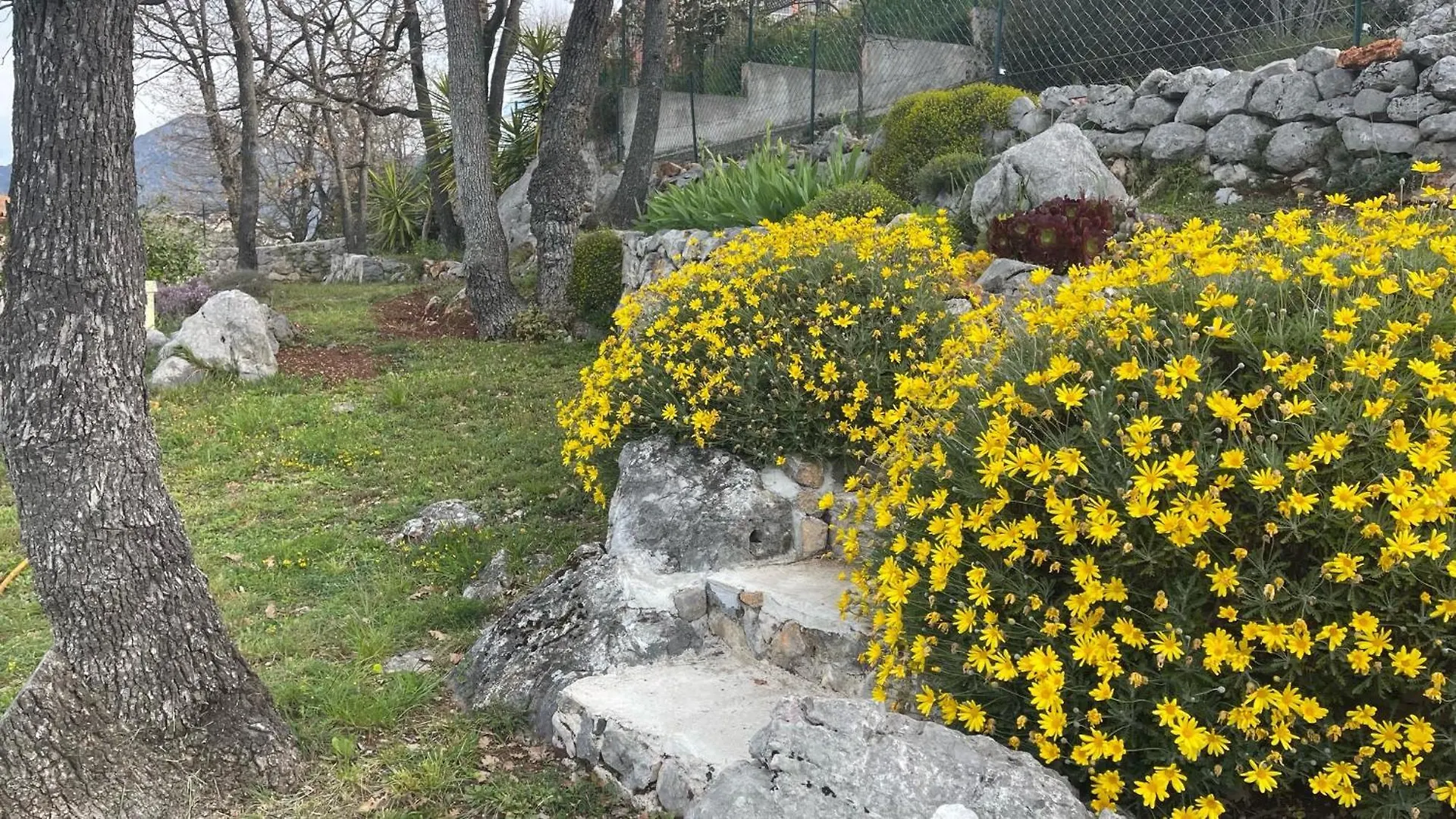 Apartment Rez De Jardin, Entre Mer Et Montagne Levens